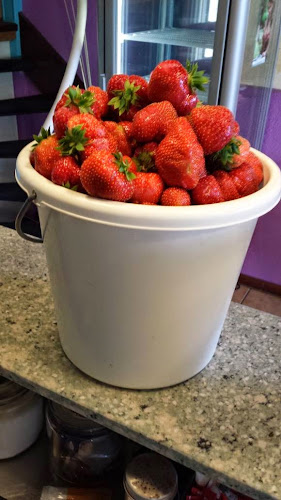 Paul Krugerstraat 97A, 3072 GD Rotterdam