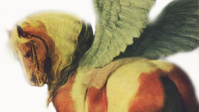 Hoeve Engelenburgh Kunst en Zorg - Nieuwe Niedorp