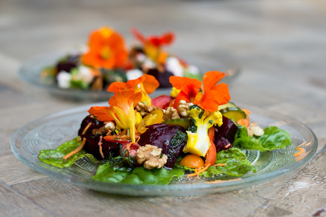 Opinii despre Op Hodenpijl în Schipluiden - Horeca