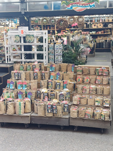 Stins Flowermarket - Horeca