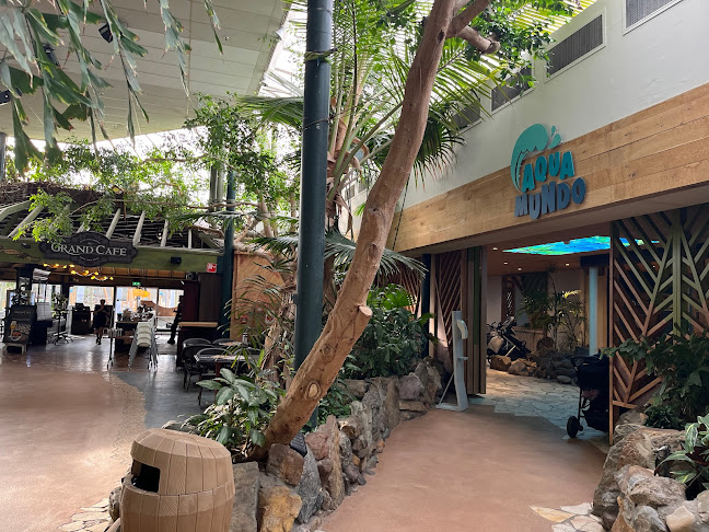 Comentarii opinii despre MarketDome Het Meerdal