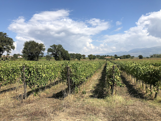 VinoPerTutti.nl - Horeca