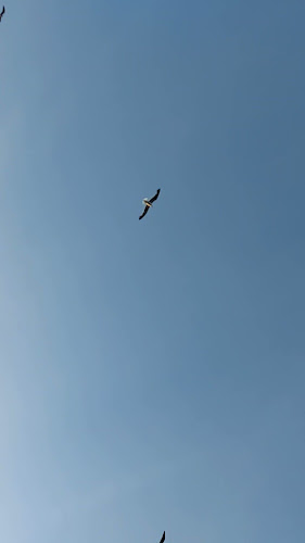 Beach House Het Kralingse Bos Phone number