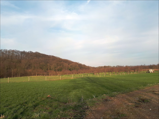 Stroopmakerij Vandewall - Eckelrade