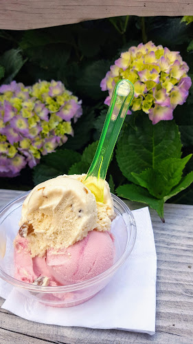 Opinii despre Talenti ijs - koffie - lunch în Gees - Horeca