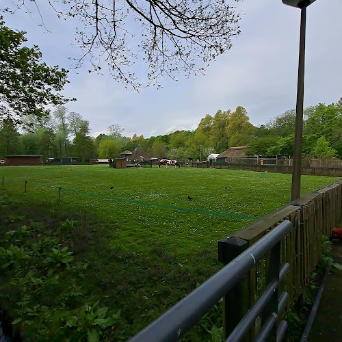 Reviews of Beach House Het Kralingse Bos in Rotterdam - Horeca