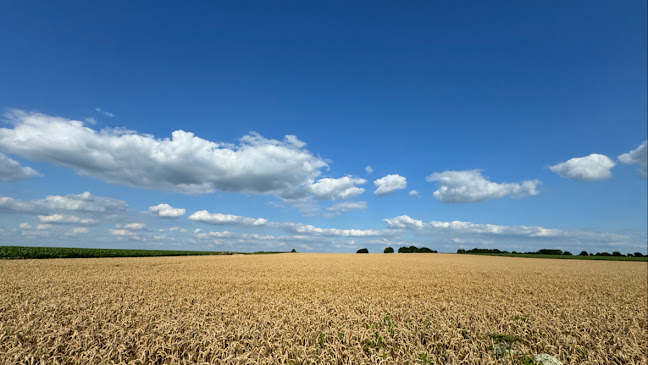 Pally Biscuits B.V. - Nieuwegein