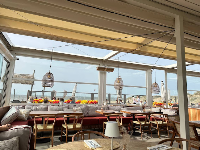 Comentarii opinii despre Beachclub C