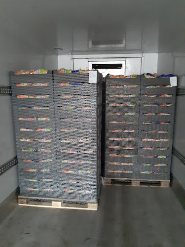 Opinii despre Koop Divers B.V. în Usquert - Horeca