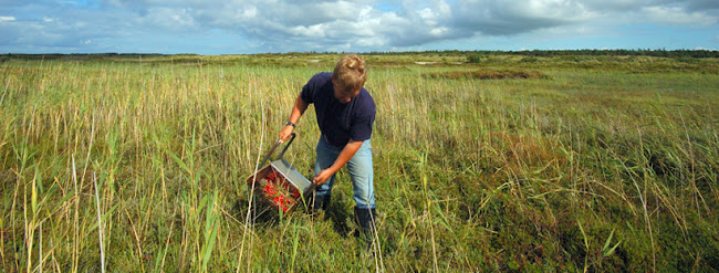 De Bessenschuur - Horeca