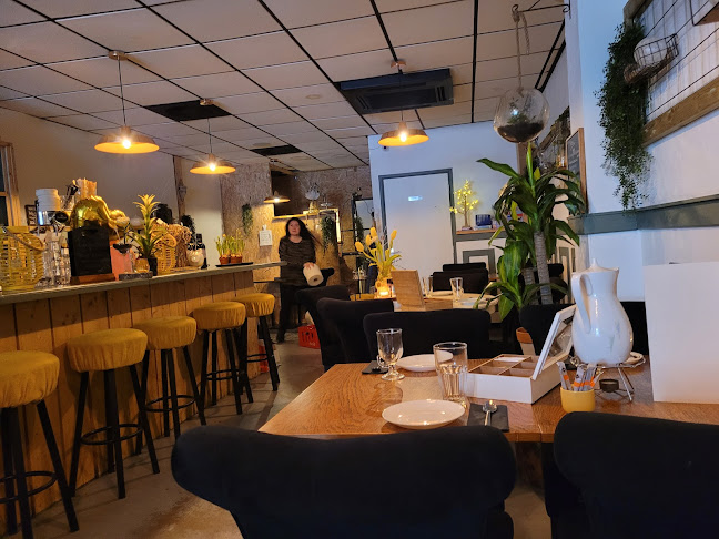 Opinii despre Restaurant Bij Lex în Zeist - Horeca