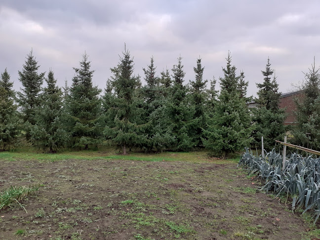 Reviews of Maatschap van den Eertwegh in Kessel - Horeca