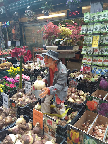 Comentarii opinii despre Stins Flowermarket