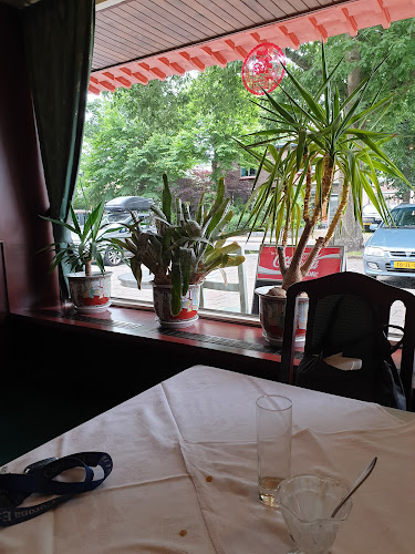 Yang's Garden Chinees Indisch Restaurant