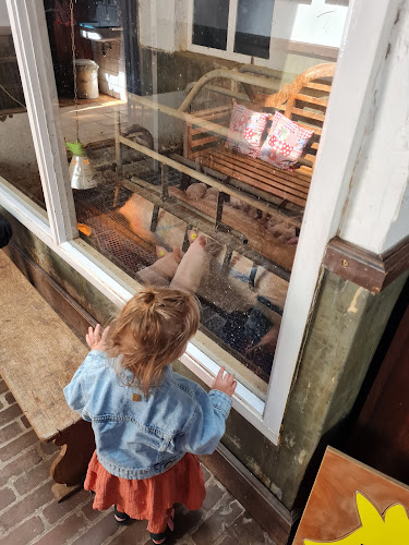 Leeijen EAM & AJM Ijsboerderij - Horeca