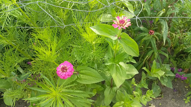 Pluktuin Stoutenburg - Horeca