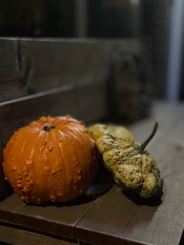 Comentarii opinii despre Enzovoort