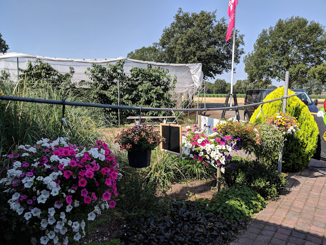 Reviews of Asperge- en fruittuinderij Van der Kolk in Dalfsen - Horeca