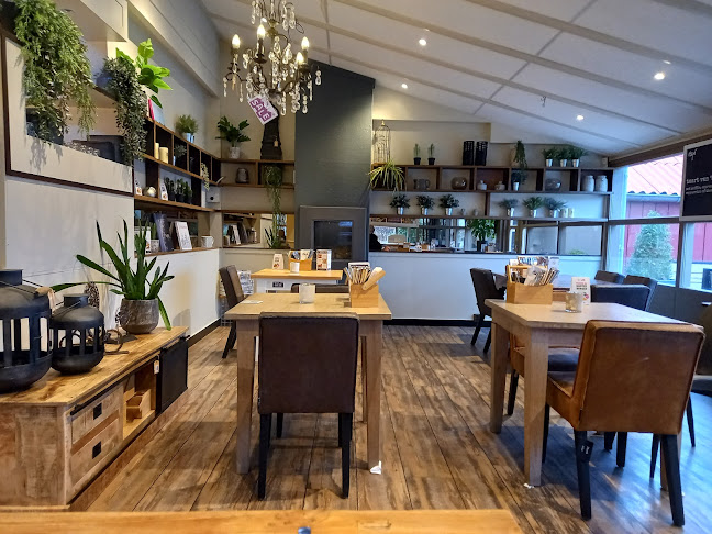 Hajé hotel-restaurant De Aalscholver - Horeca