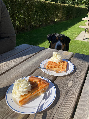 A g'n Boomsjoeël - Noorbeek