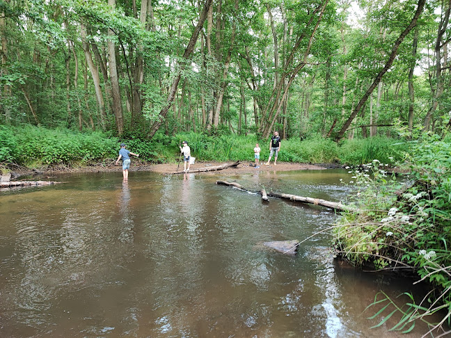 Herberg de Bos - Horeca