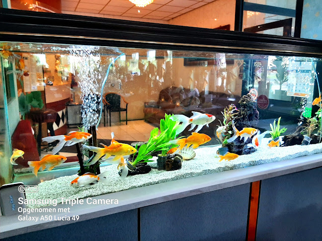 Comentarii opinii despre Wong's Garden