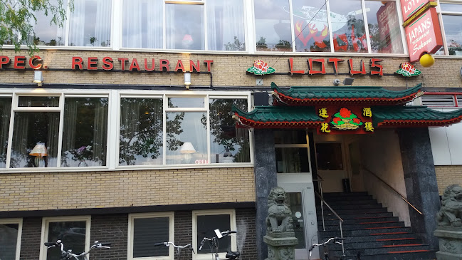 Lotus Sakura - Heerenveen