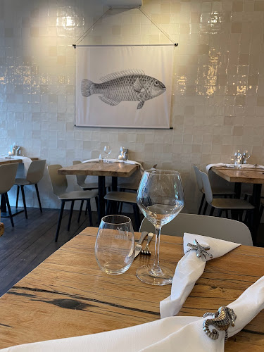 Comentarii opinii despre De Viszaeck