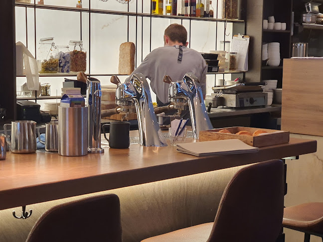 Comentarii opinii despre Dodici