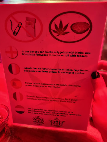 Drink n Sink - Cafe Bar Amsterdam - Horeca