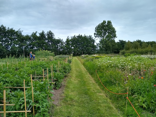 Ommedijkseweg 10A, 2382 BJ Zoeterwoude
