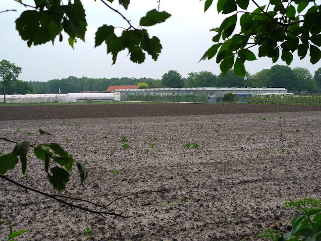 Asperge- en fruittuinderij Van der Kolk - Dalfsen