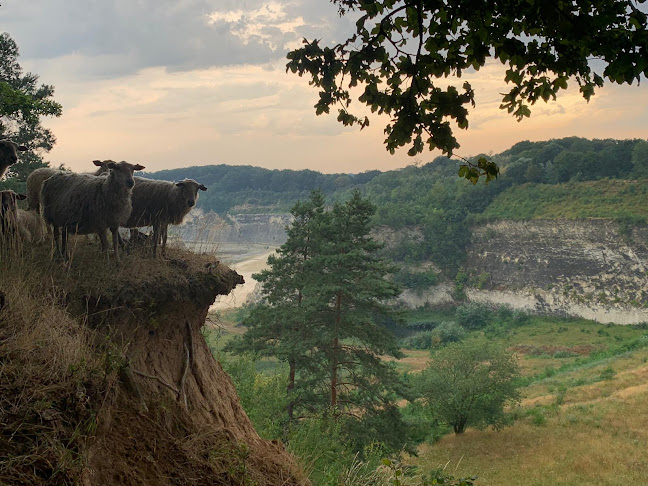 Chalet D'n Observant - Horeca