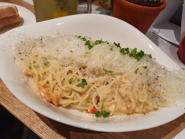 Vapiano Rotterdam Plaza Phone number