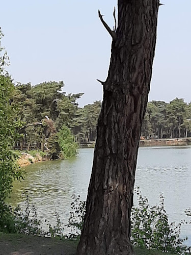 Kongo Restaurant Phone number