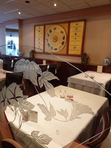 Comentarii opinii despre Hong Kong