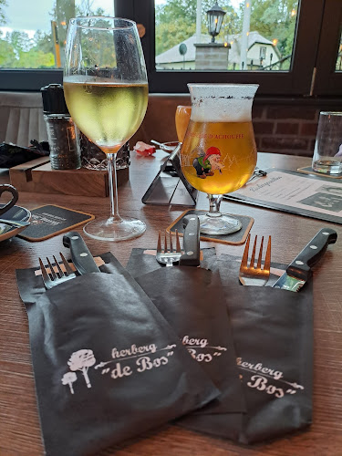 Comentarii opinii despre Herberg de Bos