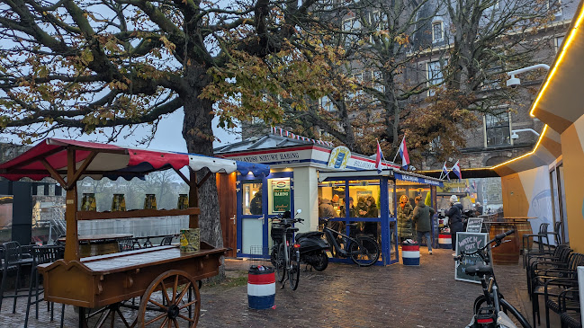 Haringkraam Buitenhof