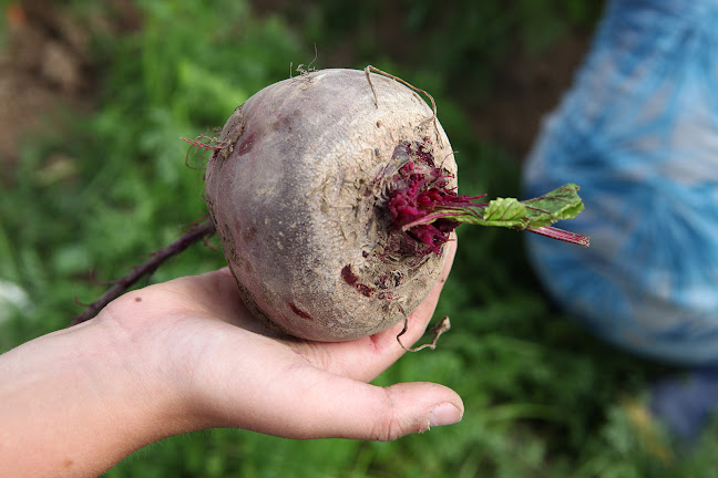 Beleef Het En Eet Het