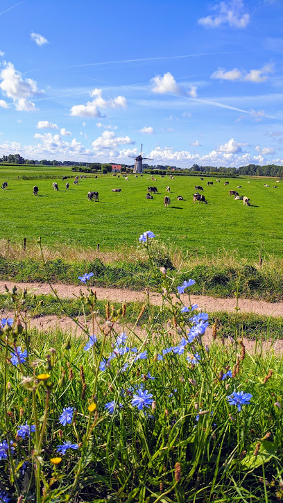 G. Vaandering Kleinfruit