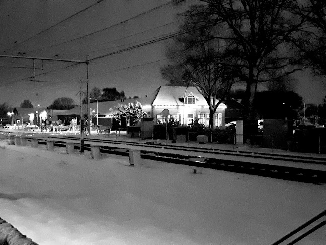 Comments and reviews of Café De Buitenmolen