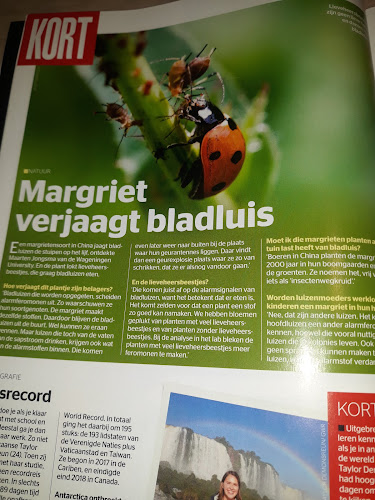 Friture Yummy Yummy Open Times