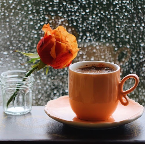 Reviews of Bakkerij Bahar 🍞 in 's-Hertogenbosch - Horeca