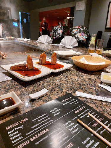 Opinii despre Restaurant Osaka Roosendaal în Roosendaal - Horeca