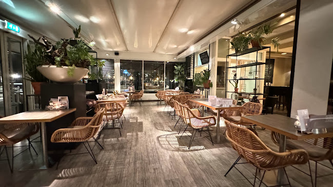 Comentarii opinii despre Blauwe Gans