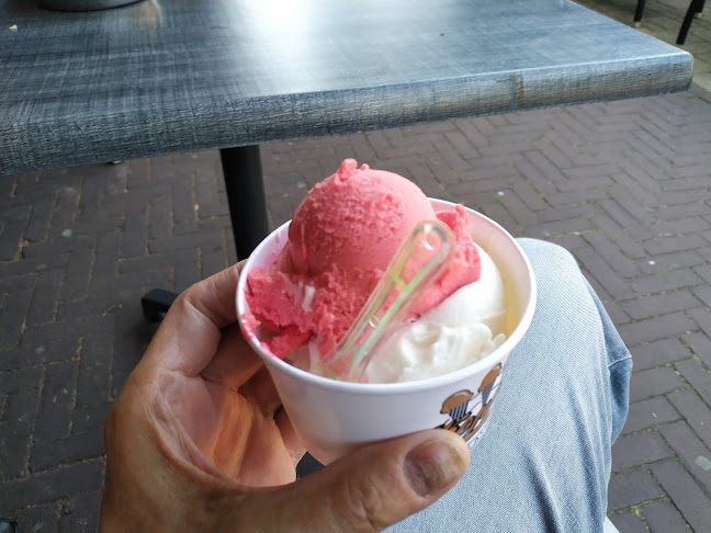 Hagelingerweg 47, 2071 CA Santpoort-Noord