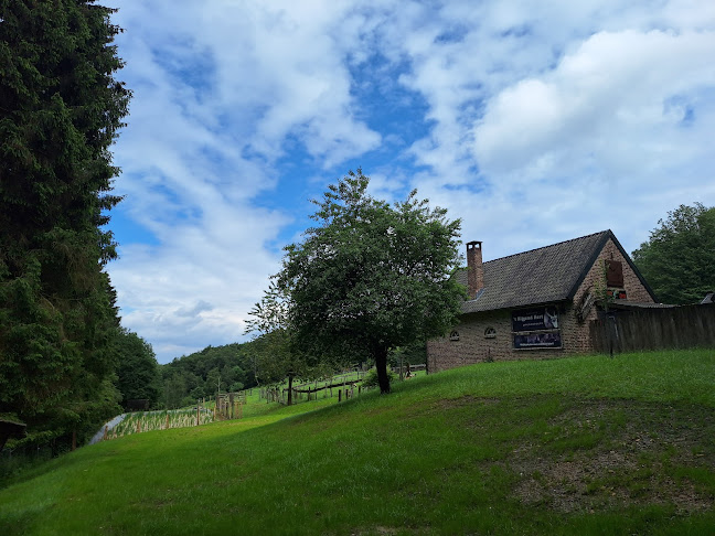 Comentarii opinii despre Boscafé 't Hijgend Hert