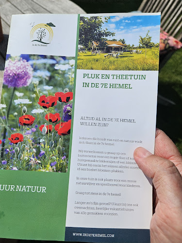 Pluk en theetuin in de 7e Hemel - Grashoek