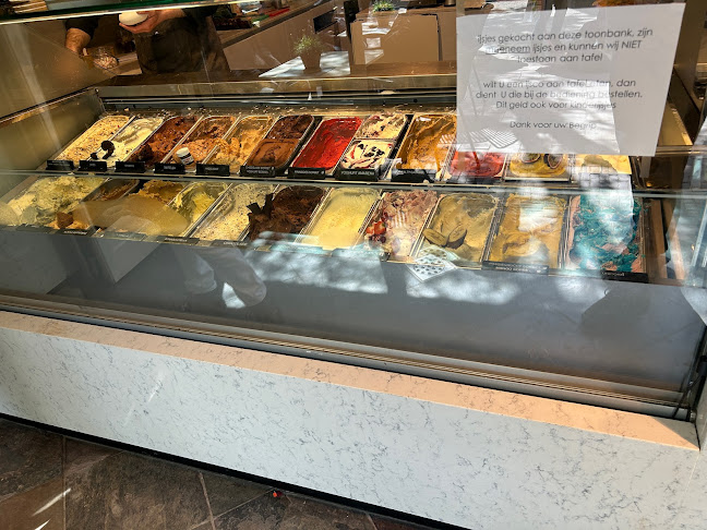 De IJsvogel - Domburg