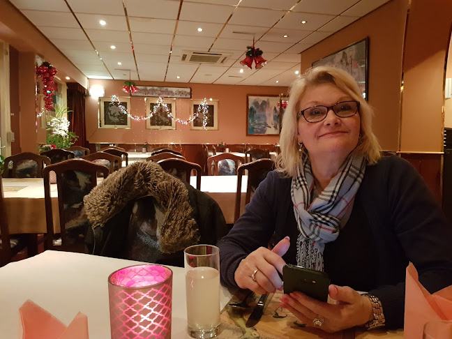 Comentarii opinii despre Kwong Chow Zevenaar